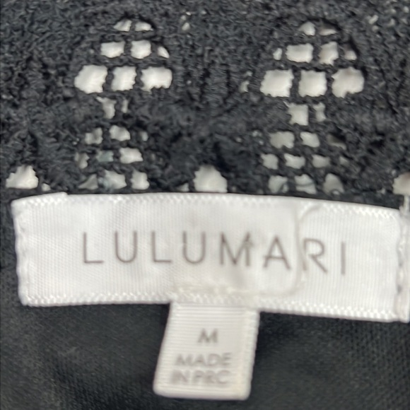 Lulumari LBD Black Lace with Floral Embroidery Dress - Picture 9 of 9